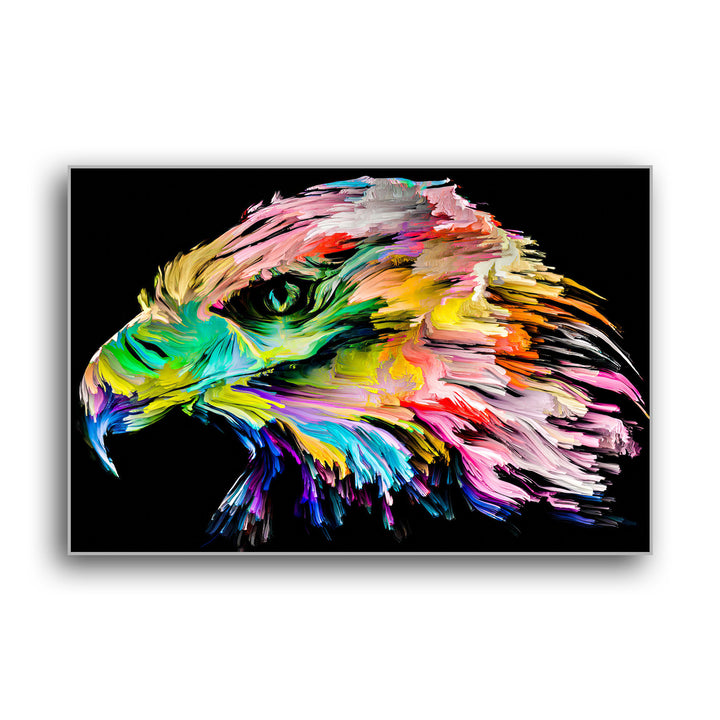 COLORFUL EAGLE