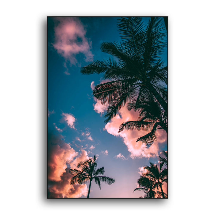 SUNSET PALMS