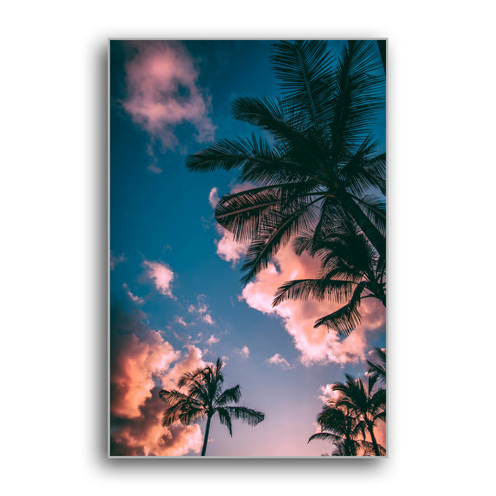 SUNSET PALMS